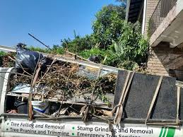 Shed Removal in New Braunfels, TX